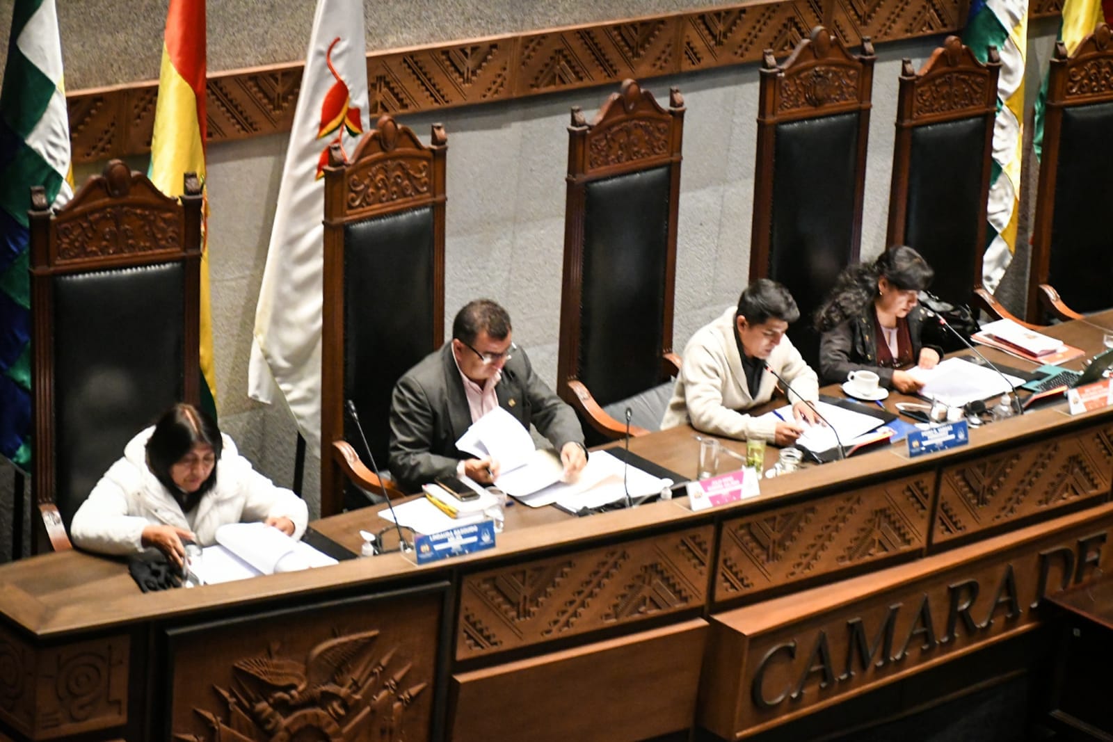 Rodríguez convoca a sesión de Asamblea, “evismo” y oposición apuesta por aprobar leyes antiprórroga y de plazos