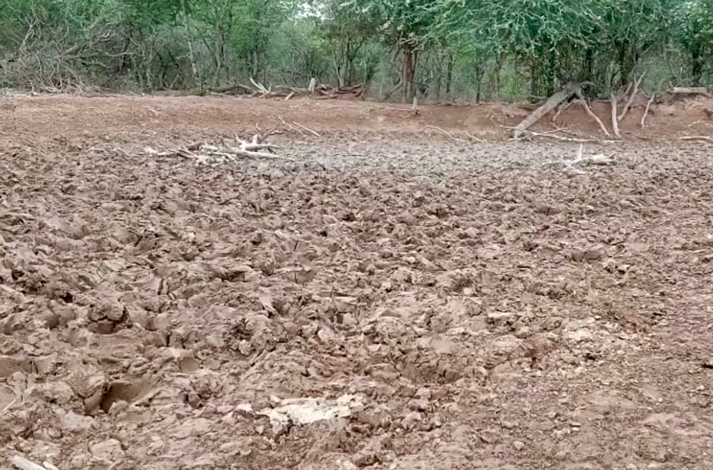 Sequía y helada afectan a 39 municipios de seis departamentos, reporta Defensa Civil 