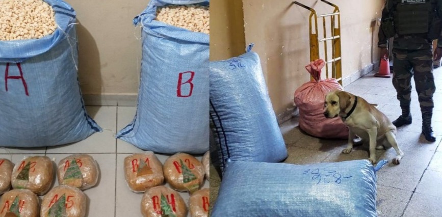 Can evita tráfico de más de 10 kilos de marihuana camuflados en pasankalla 