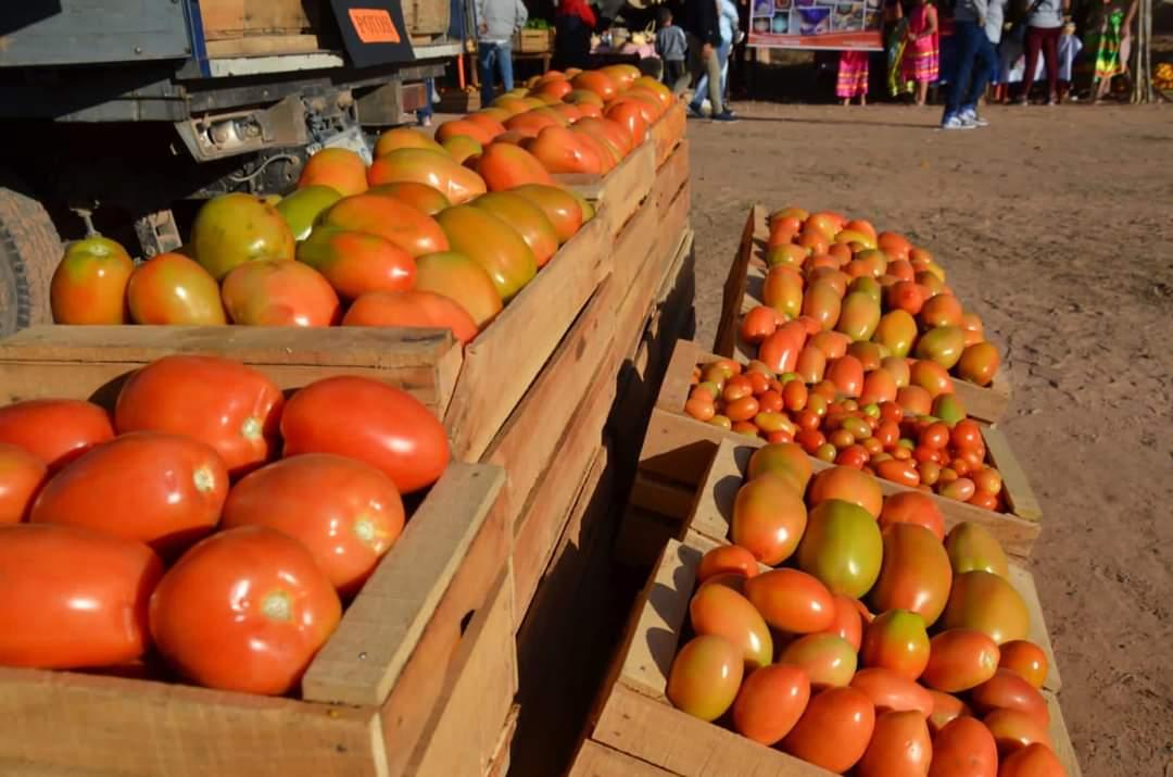 Detectan que en Tarija acopian verduras y frutas para destinarlas a Argentina