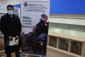 Repatrían a cinco parabas azules de Inglaterra, las llevan a centro de custodia en Beni