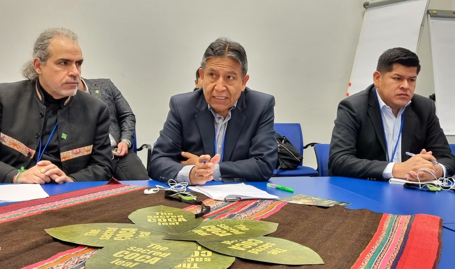 OMS anuncia la primera reunión abierta para avanzar en el examen crítico de la hoja de coca