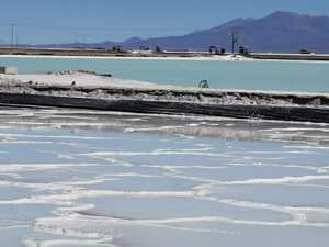 De 38 empresas, 26 pasaron a la segunda fase para el aprovechamiento de los recursos evaporíticos