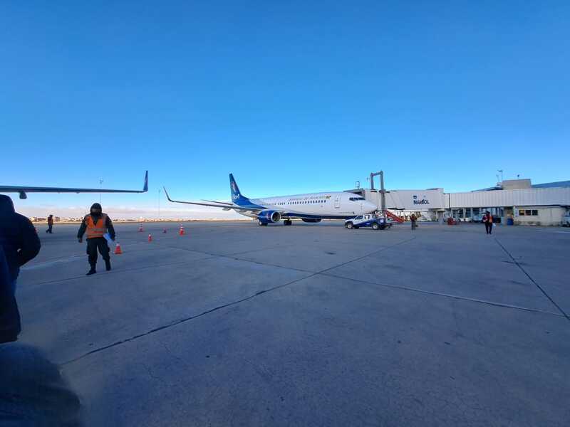 DGAC activa investigación en aeropuerto de El Alto por ingreso de jauría de canes que causó incidente 