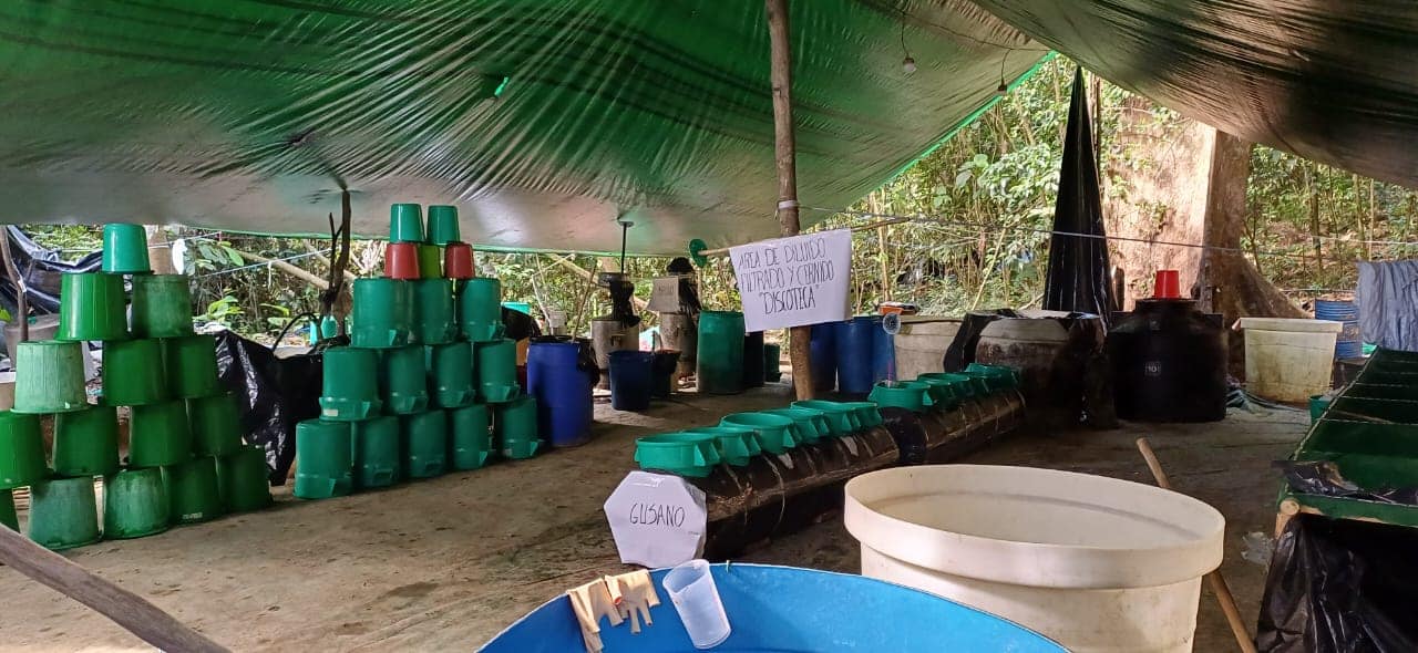 Felcn destruye laboratorio de cristalización y aprehende a dos personas en Cochabamba