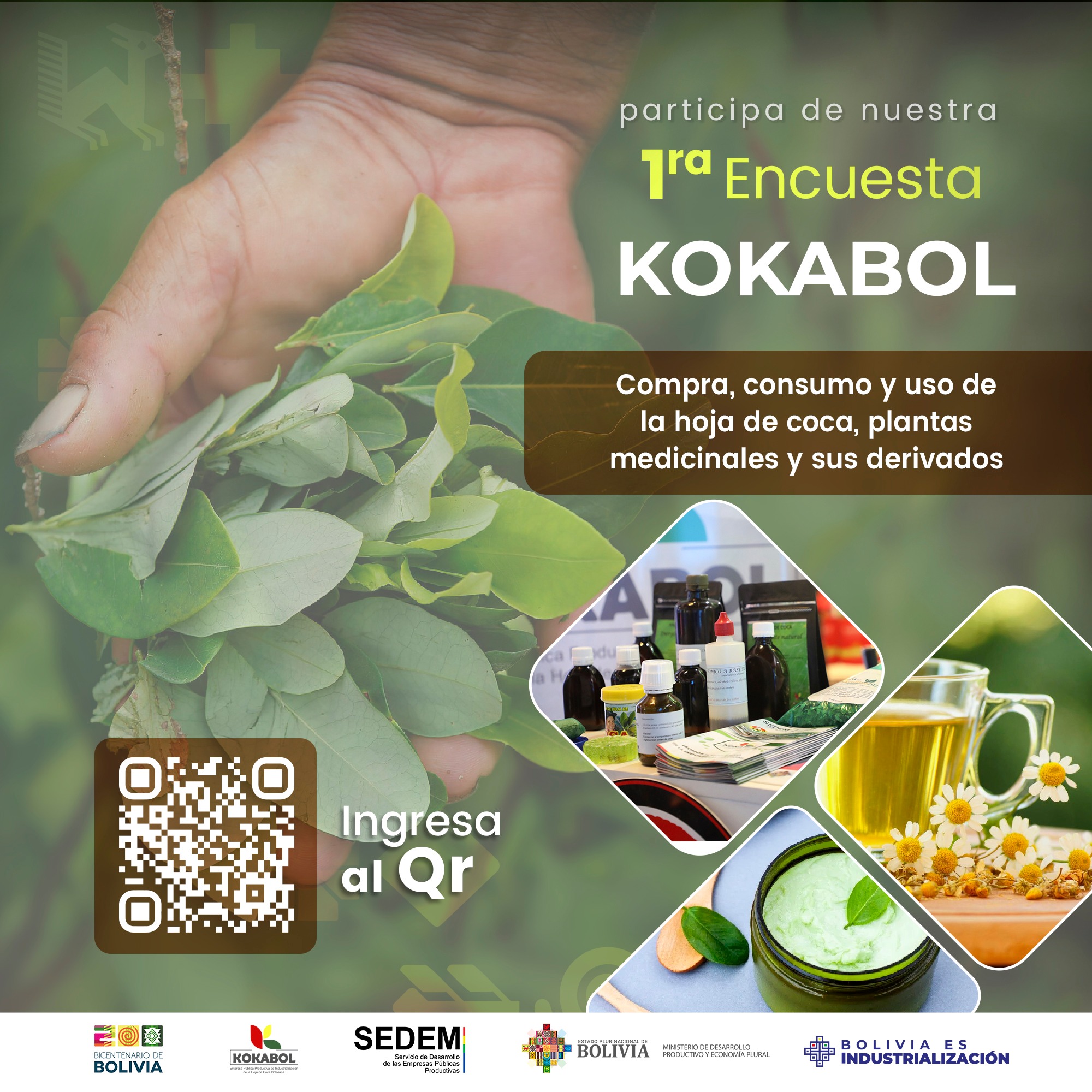 Kokabol invita a llenar encuesta para fortalecer la industrialización de la hoja de coca