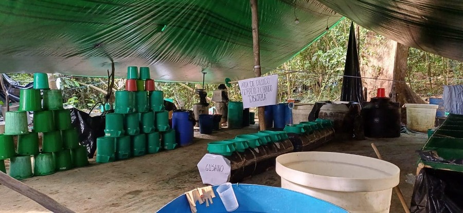 Destruyen laboratorio de cristalización de cocaína en Cochabamba y aprehenden a dos personas