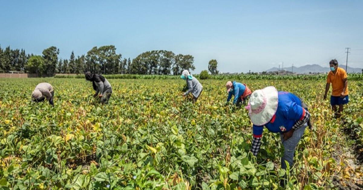 Sistema financiero destinó Bs 98.589 millones en créditos al sector productivo