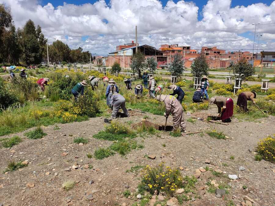 Fonabosque cierra con 34 propuestas convocatoria para cofinanciar estudios de pre inversión de manejo de bosques