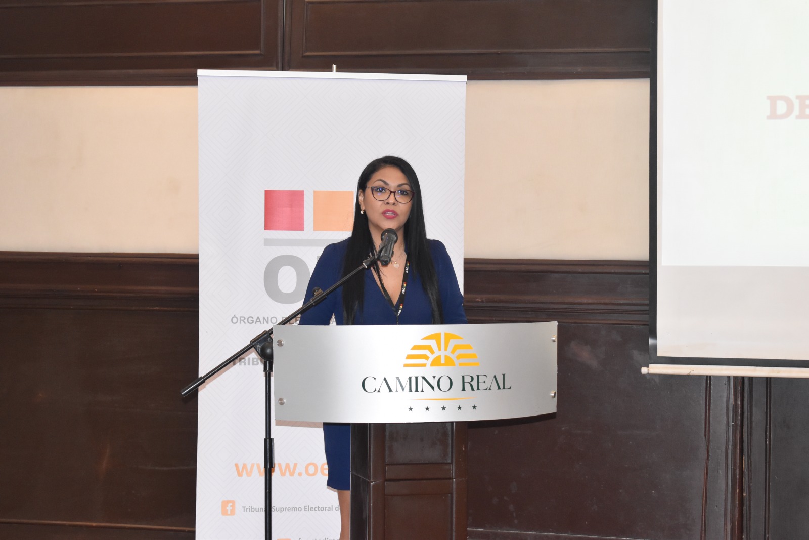 En Santa Cruz 12 de 33 organizaciones políticas renovaron sus directivas