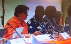 Ministra Navia asegura en Costa Rica que en Bolivia “la informalidad la genera el propia empresario privado”