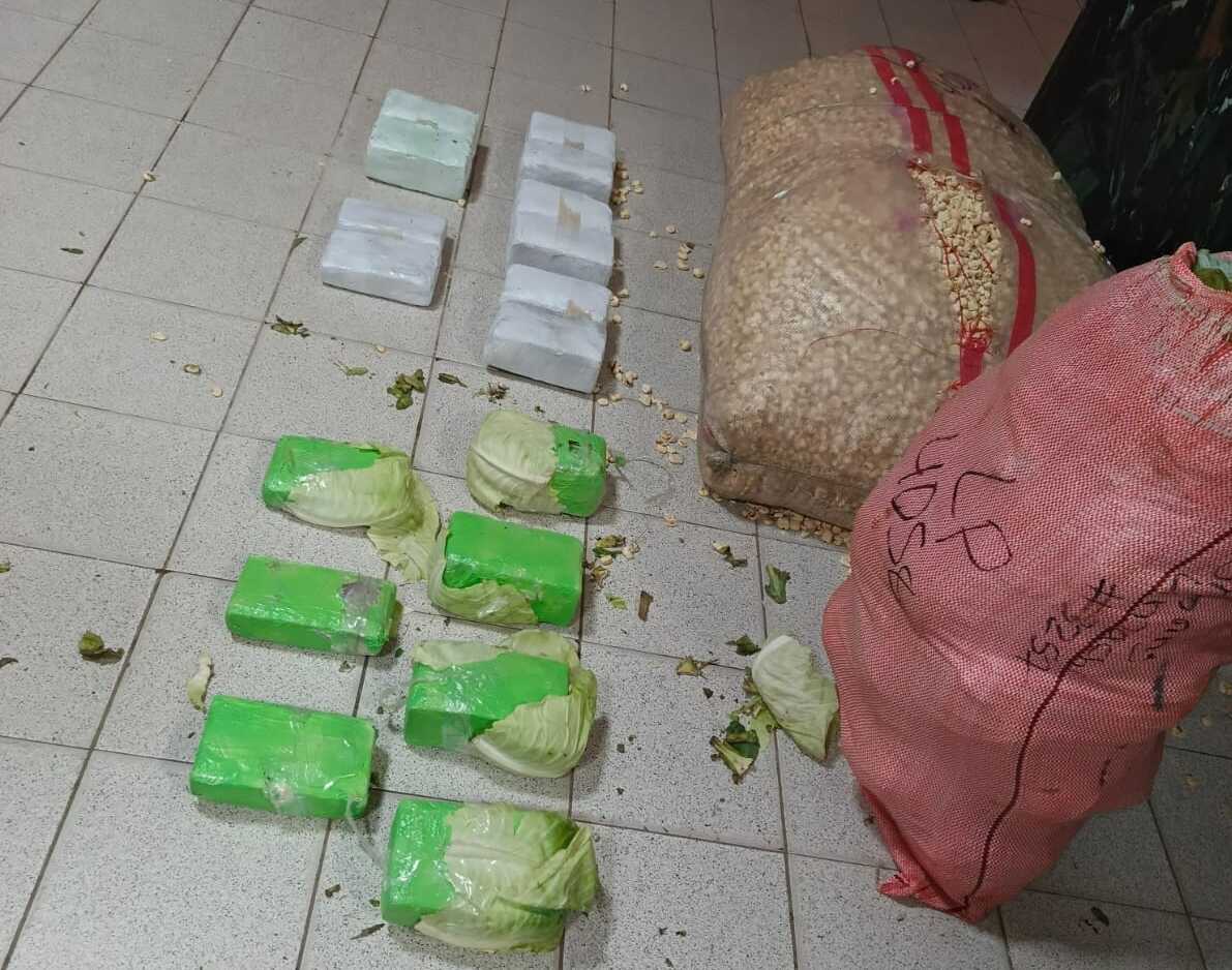 Fuerza antidroga incauta más de 15 kilos de marihuana que estaban camuflados en cargas de pasankalla y repollo en Santa Cruz 
