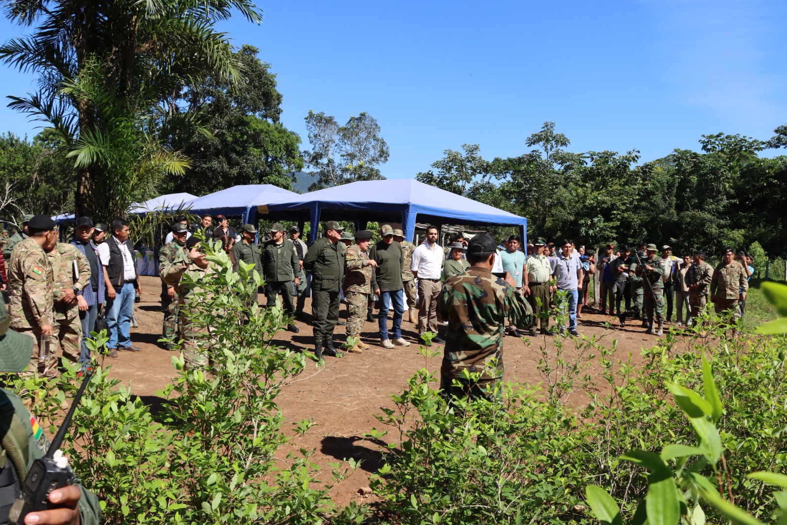 Gobierno declara al Parque Amboró “libre de cultivos de coca” y alista reforestación con especies nativas
