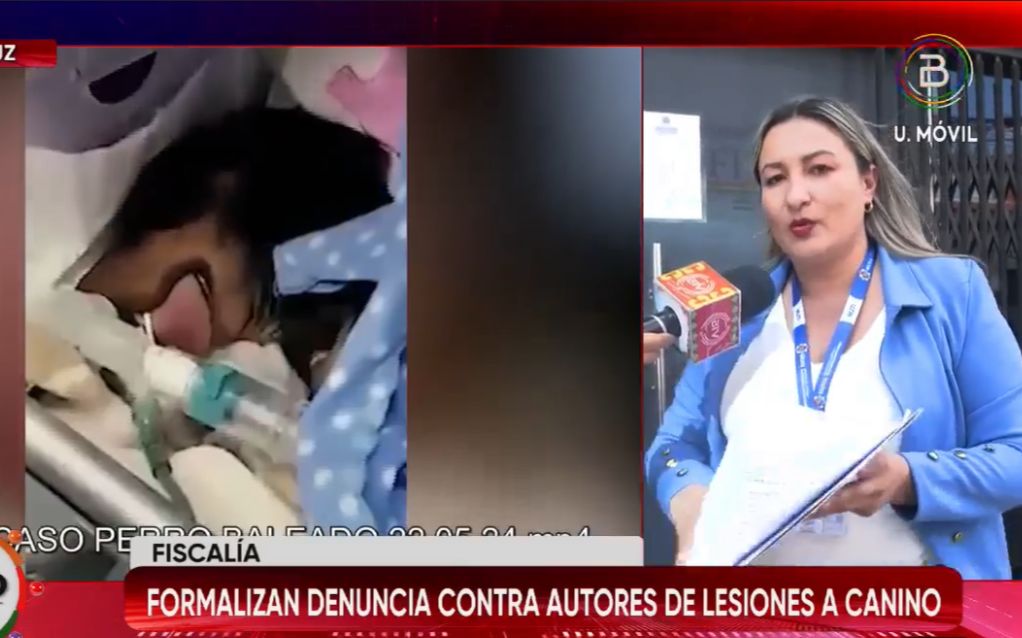 Justicia presenta denuncia contra responsables del maltrato al perro “Joni”