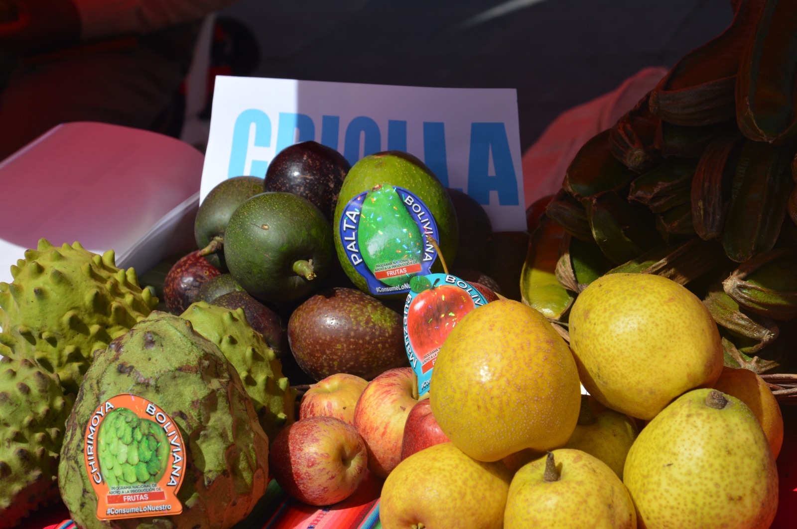 Inicia el primer Congreso Internacional de Fruticultura en Sucre 