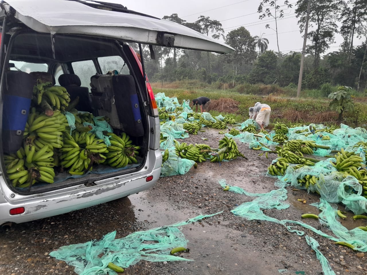 Bananeros afectados por 23 días de bloqueo piden a la banca reprogramación de créditos 