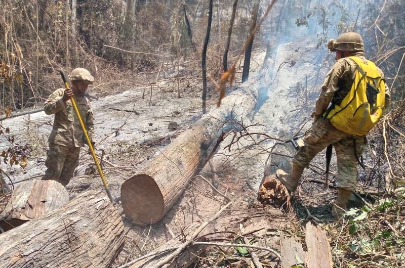 Defensa Civil confirma que el incendio en Madidi está “completamente” controlado