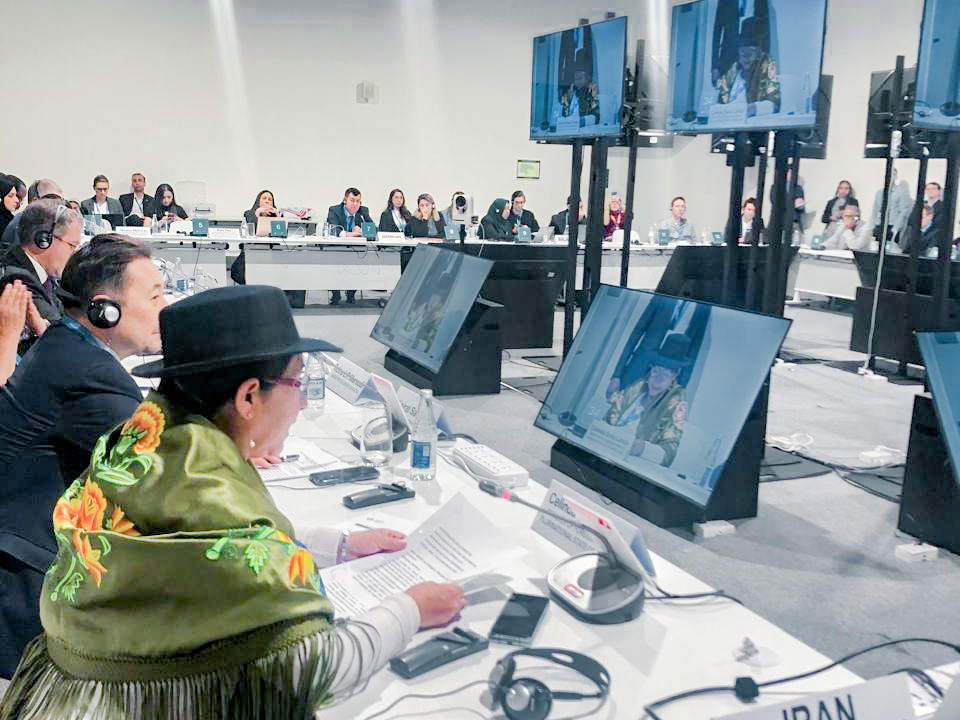 Bolivia propone en la COP29 la creación de un fondo de protección de cuencas hídricas