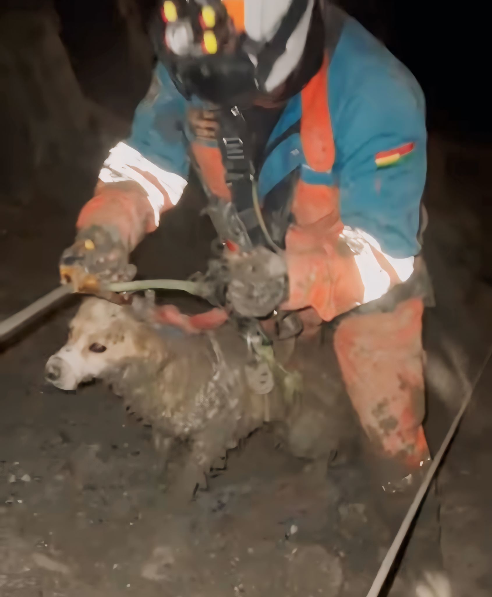 Rescatan a tres canes de la mazamorra en Bajo Llojeta