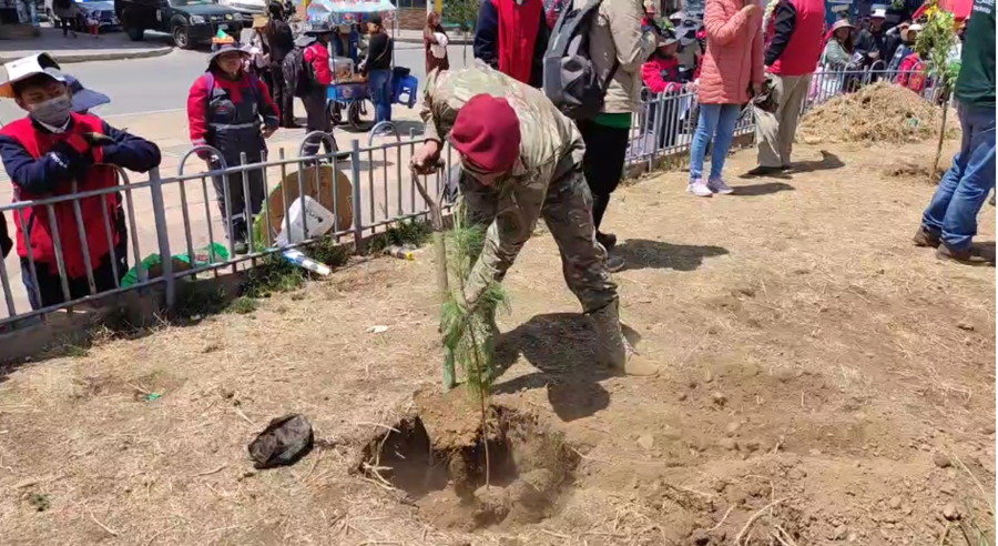 Inician campaña de forestación en El Alto por el Día Nacional del Árbol