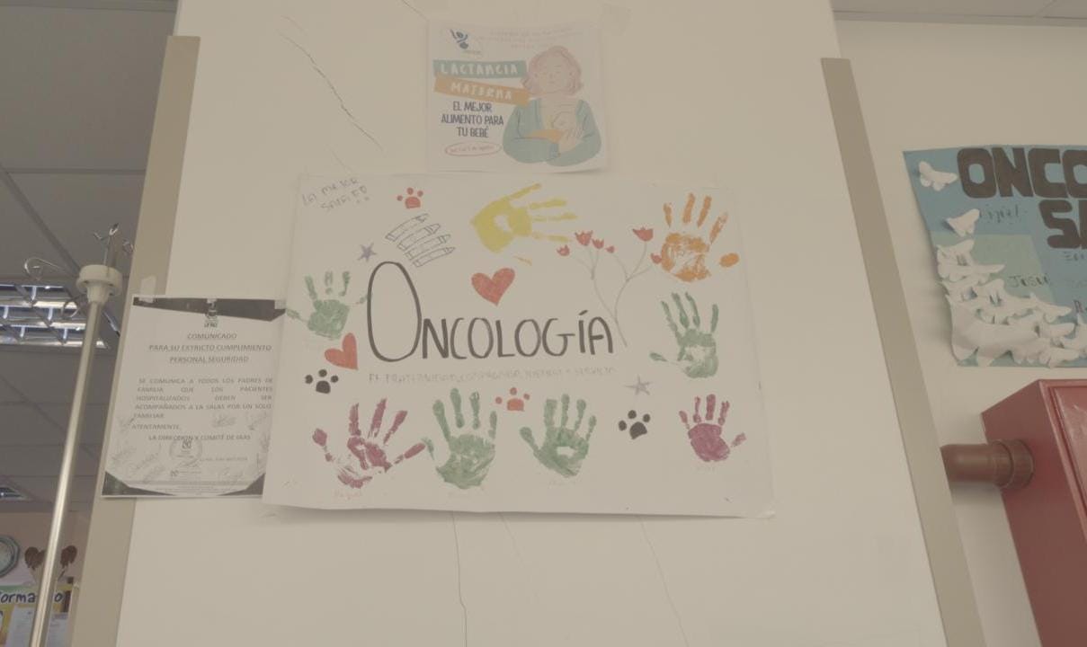 Niño de 10 años vence a la leucemia mieloide aguda gracias a trasplante cubierto por el SUS