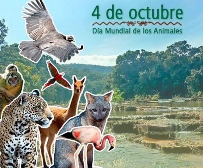 En el Dia Mundial de los Animales instan a protegerlos y cuidar su hábitat