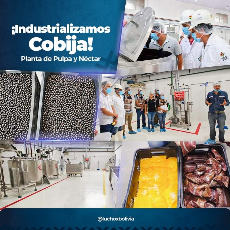 Construcción de la Planta Industrializadora de frutos amazónicos en Pando llega al 71% de avance