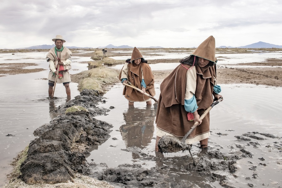 Convocatoria a “Letras e Imágenes de Nuevo Tiempo” 2024 tiene 19 ganadores