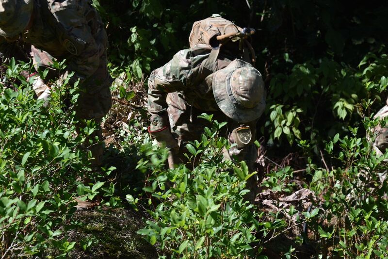 Denuncian asentamientos en el Parque Nacional Carrasco con 3.000 hectáreas de coca ilegal