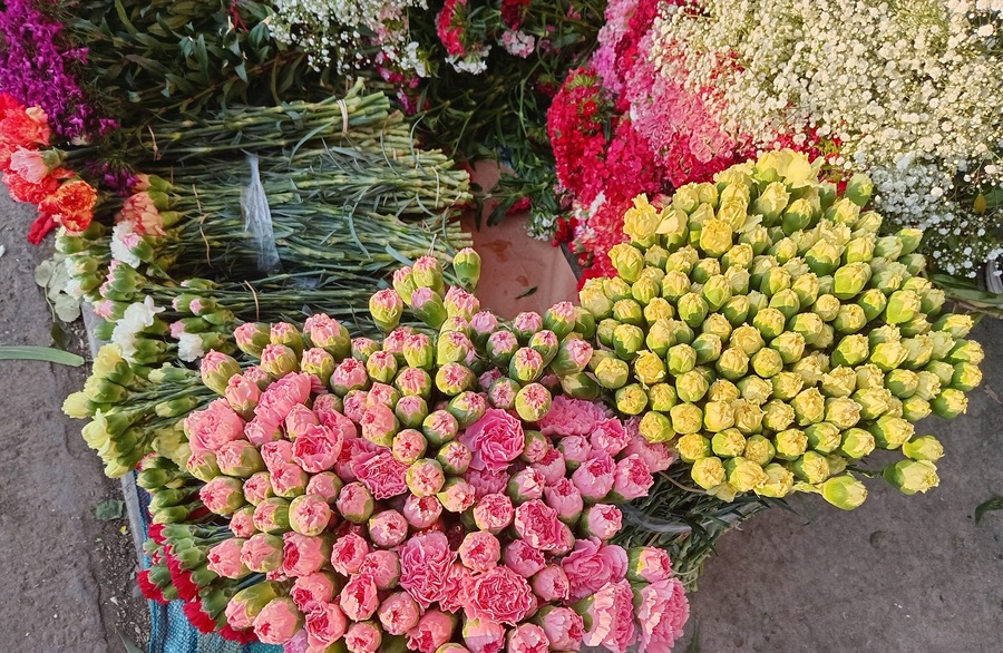 Floricultores de Cochabamba se declaran en emergencia por bloqueo de evistas, 8.000 familias están afectadas