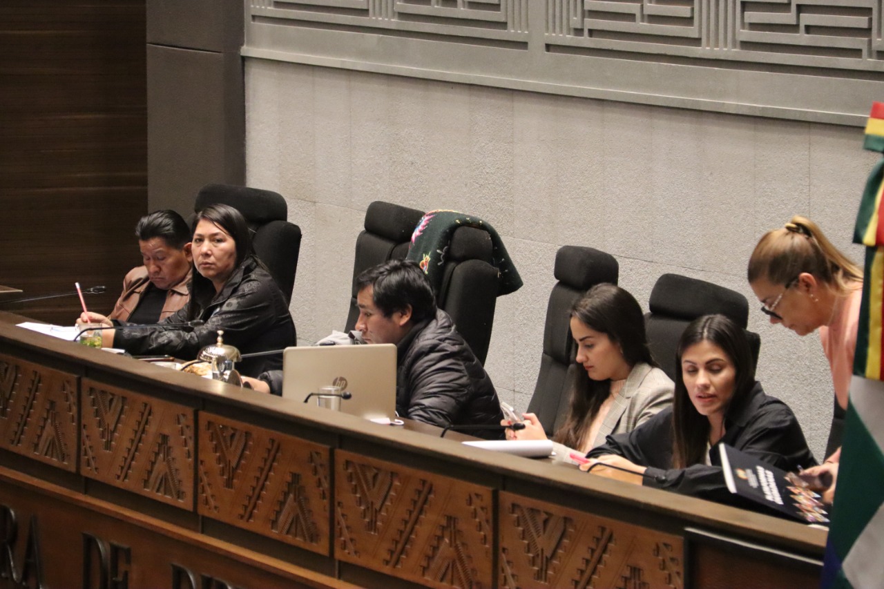 Diputados rechaza crédito de $us 75 millones para el Bicentenario y aprueba su presupuesto 2025 en medio de bochornosa sesión