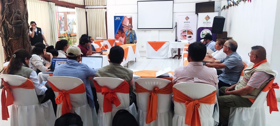 Salud actualiza guías para la vigilancia entomológica en la lucha contra el dengue y chagas