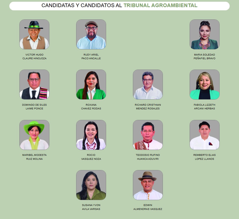 Elecciones Judiciales: De 13 candidatos 10 serán electos para el Tribunal Agroambiental