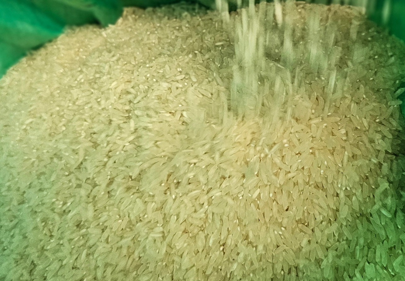 Ingenios arroceros cuentan con más de 90.000 toneladas de arroz, garantizan suministro hasta fin de año