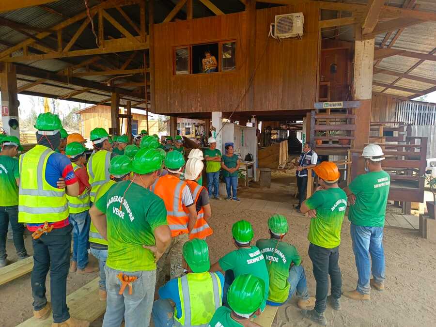 Posesionan a Comité Mixto de empresa maderera en Pando