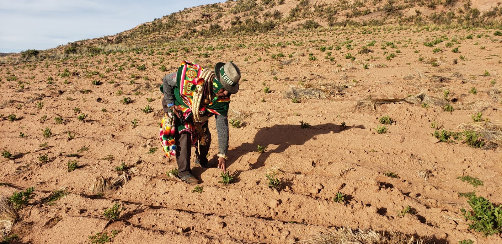 Exigen al legislativo que apruebe crédito para saneamiento de tierras y evitar avasallamientos 