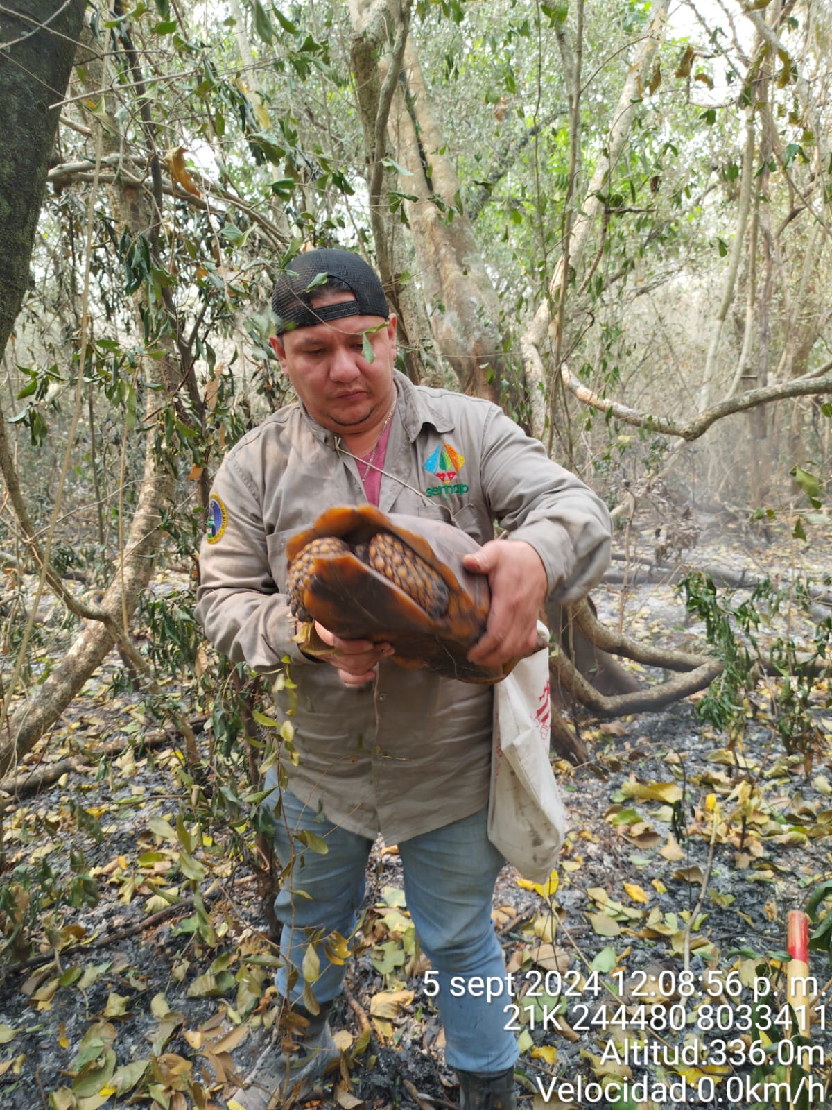 Desplazan brigadas móviles para atender a animales afectados por los incendios en Santa Cruz