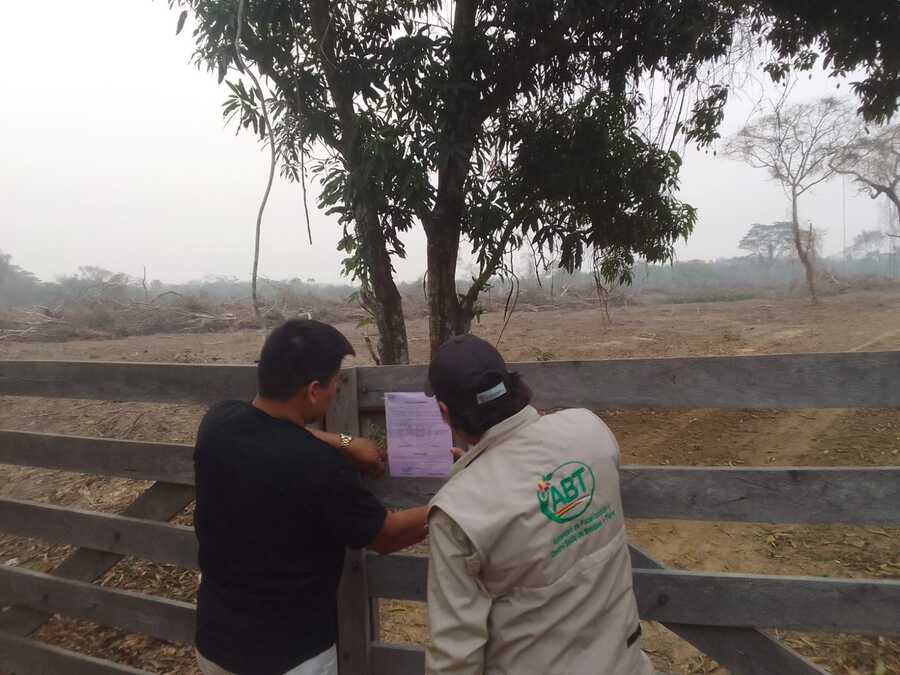 Cuatro personas tienen sentencia condenatoria por provocar incendios forestales