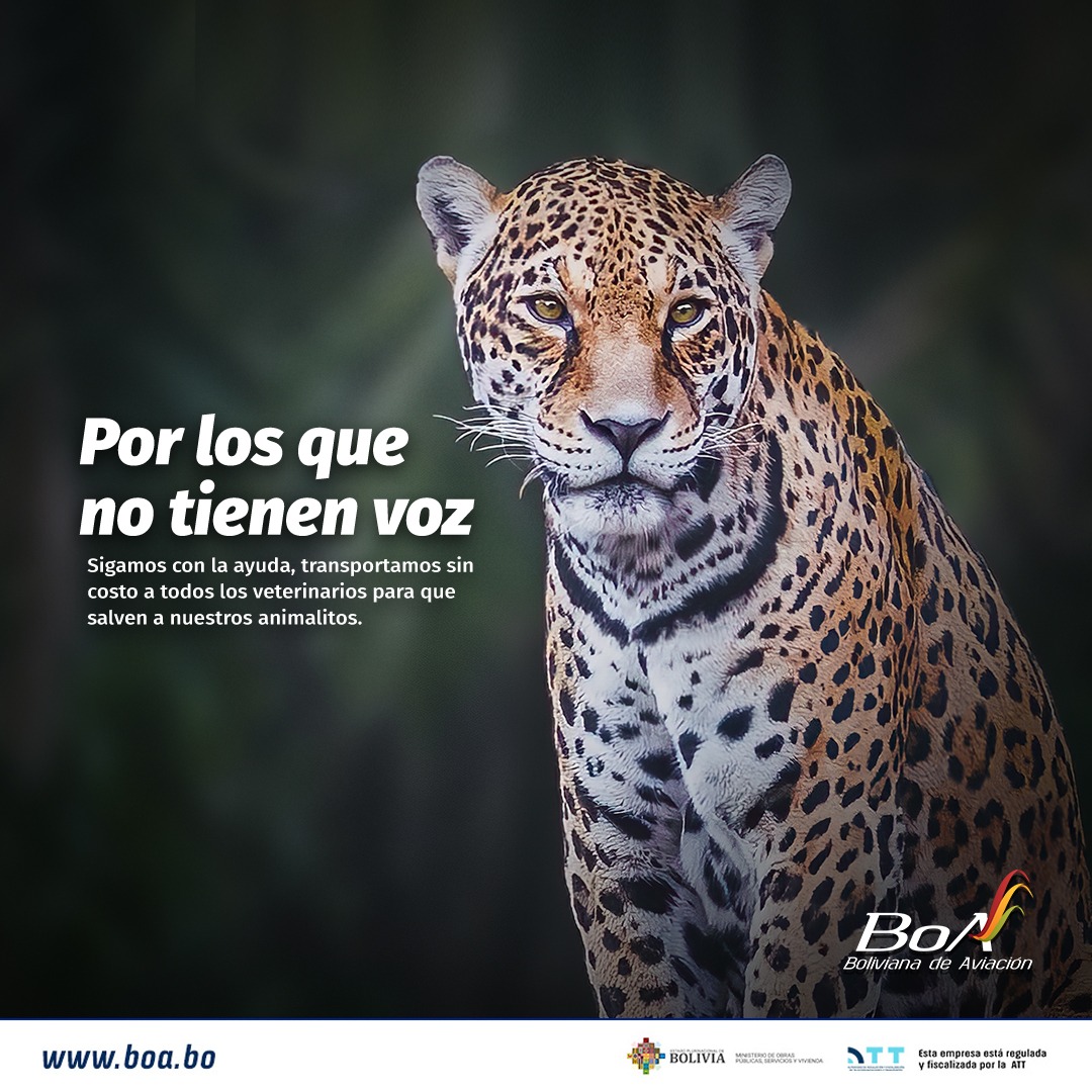 Habilitan vuelos gratuitos para veterinarios y biólogos que atenderán a fauna silvestre víctima de incendios