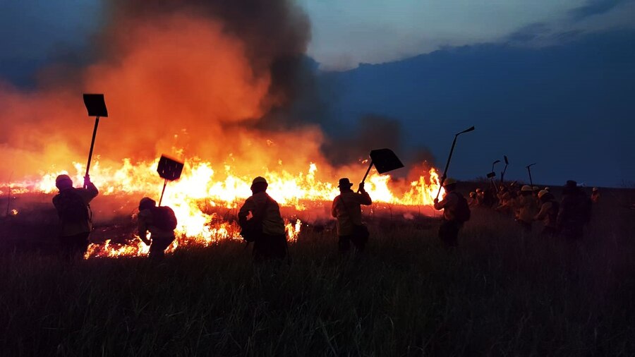 Instan a autoridades regionales a sumarse a los procesos penales por provocar incendios