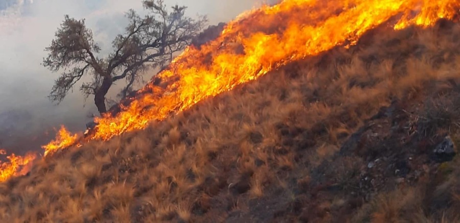 Envían a la cárcel a hombre que provocó incendio en Totora