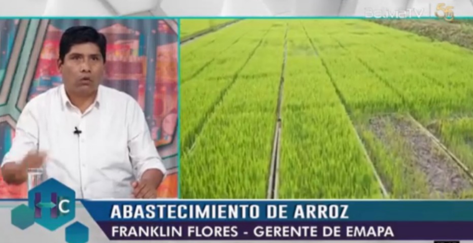 Emapa cuenta con reserva de 76.000 toneladas de arroz y asegura nuevo acopio a fines de año