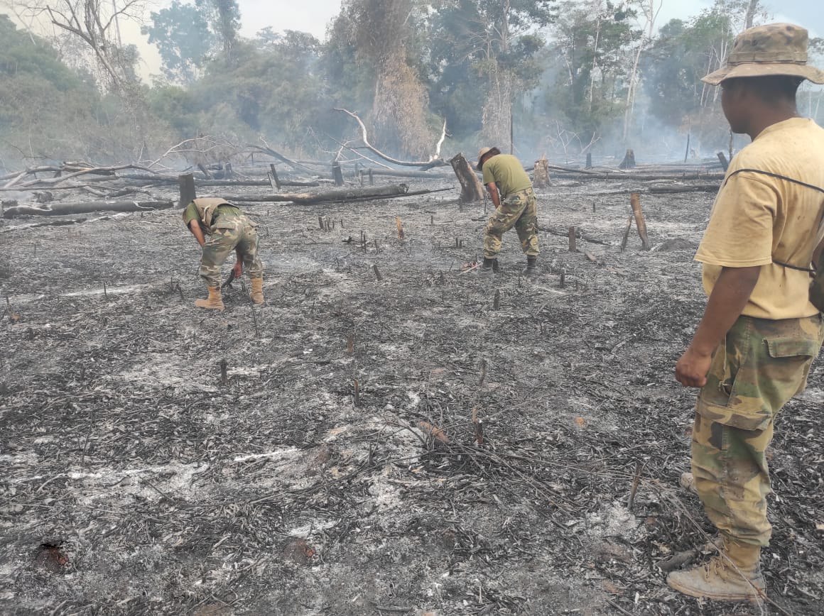 Suman 82 denuncias penales por incendios y 297 procesos administrativos impulsados por la ABT