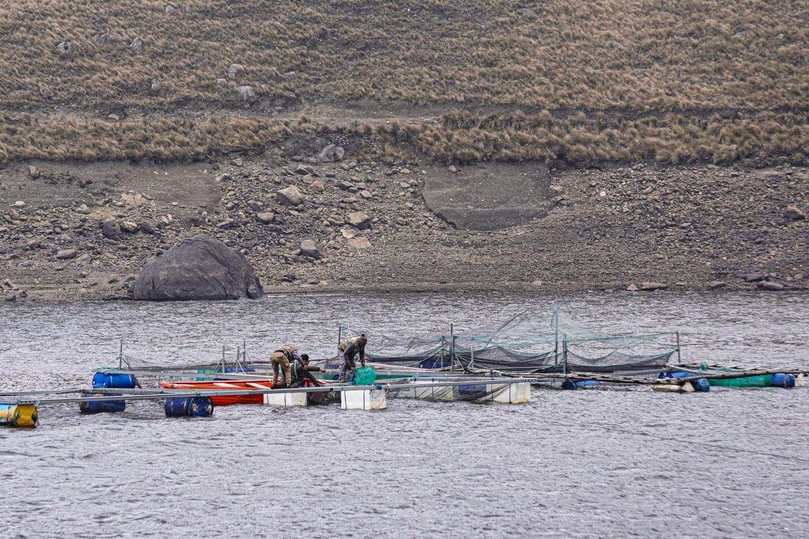 Entregan jaulas flotantes, equipamiento e insumos para aumentar la producción de carne de trucha en Cochabamba 