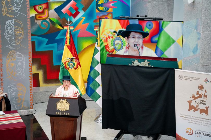 Aseguran que encuentro regional sobre camélidos es un escenario para luchar contra tres desafíos mundiales