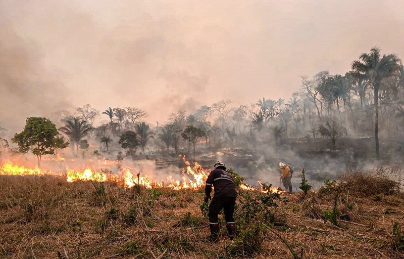 Bomberos intensifican la lucha contra incendios que afectan a 49 comunidades de Santa Cruz, Beni y La Paz