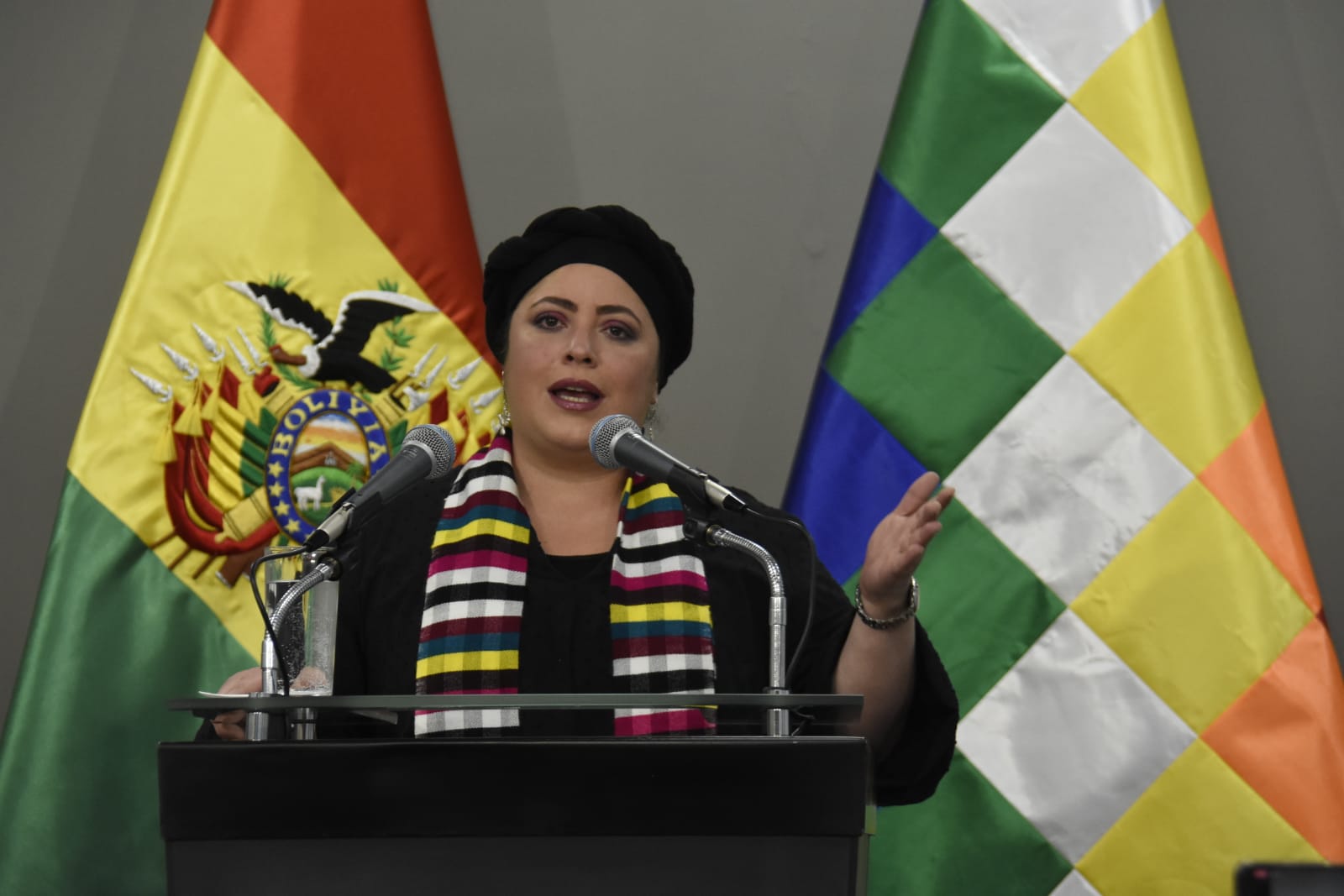 Prada: Morales pide en su pliego al Gobierno que el TSE anule la sanción al MAS por no renovar su directiva