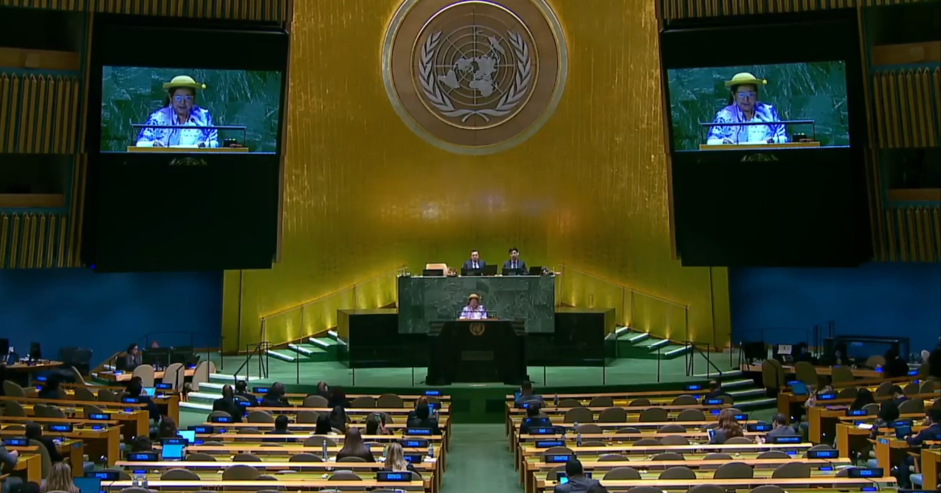 Canciller denuncia en la ONU afanes desestabilizadores y pide acompañar los esfuerzos por fortalecer la democracia