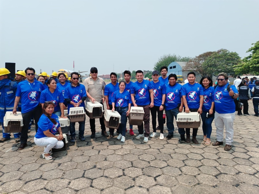 Más brigadas de veterinarios se suman al rescate de la fauna en municipios cruceños afectados por incendios forestales