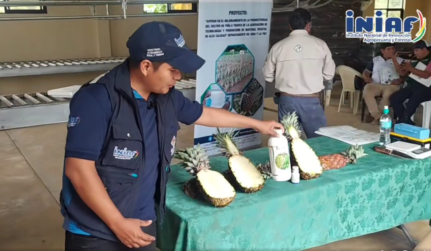 Productos utilizados para la conservación de la piña. Captura: Iniaf